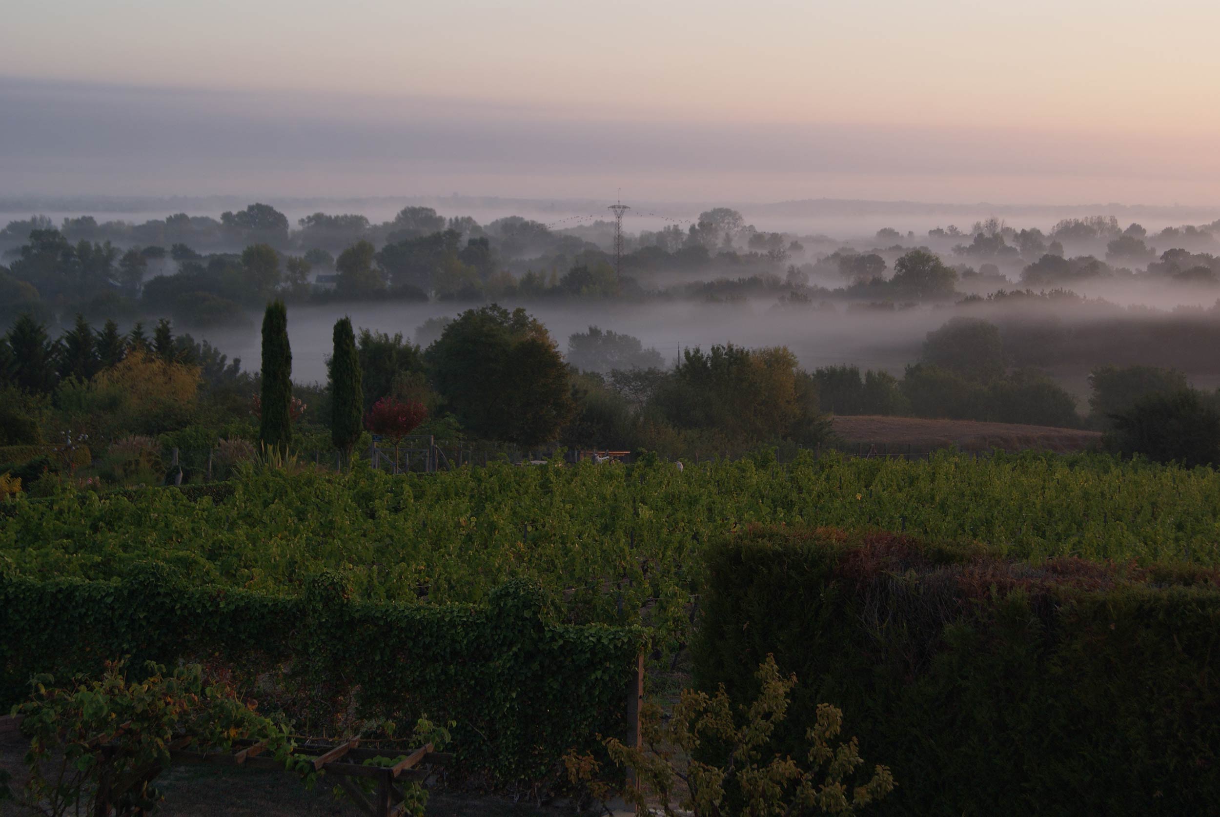 Vue de Montjean sur Loire